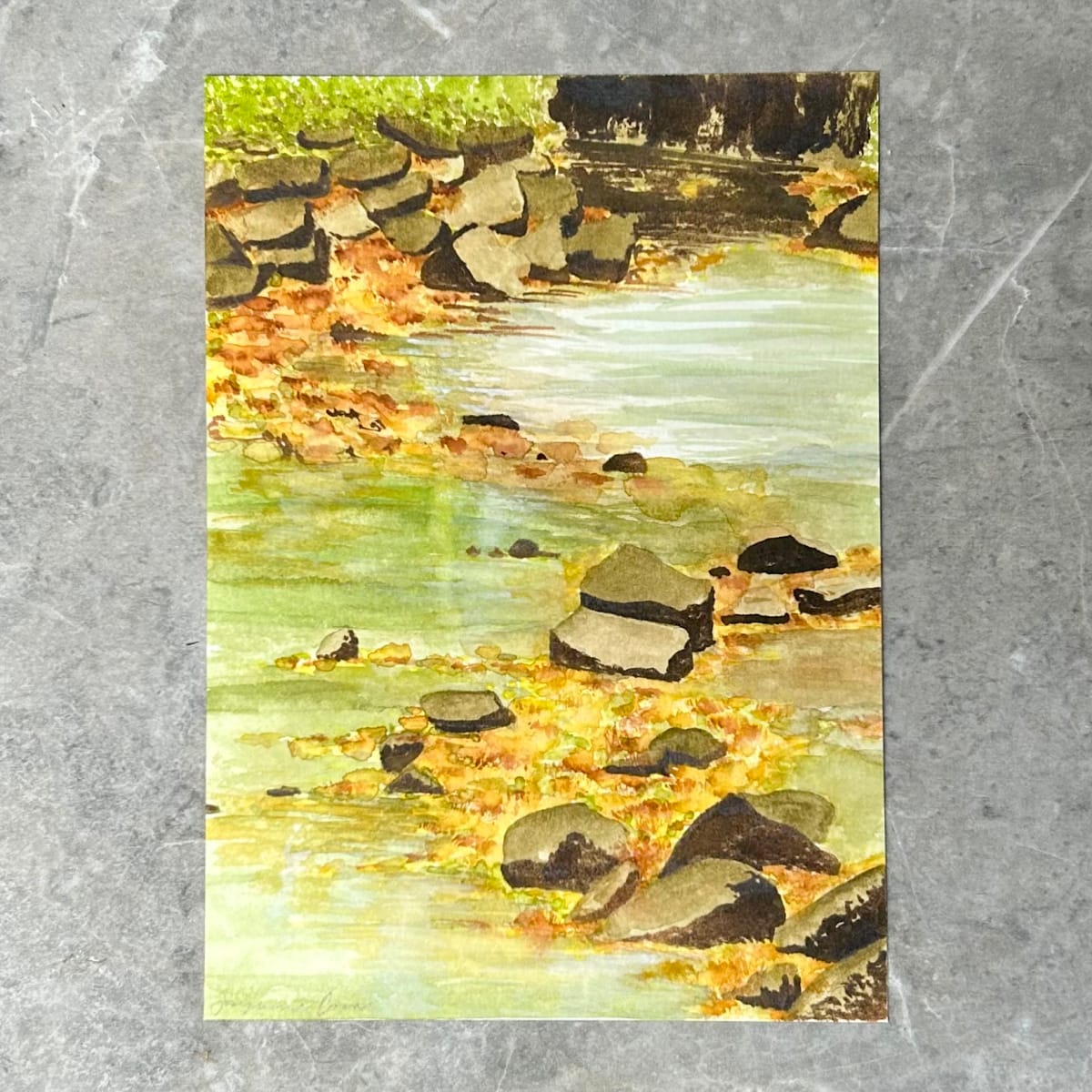 Arboretum No.3