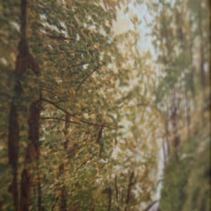 The Way
