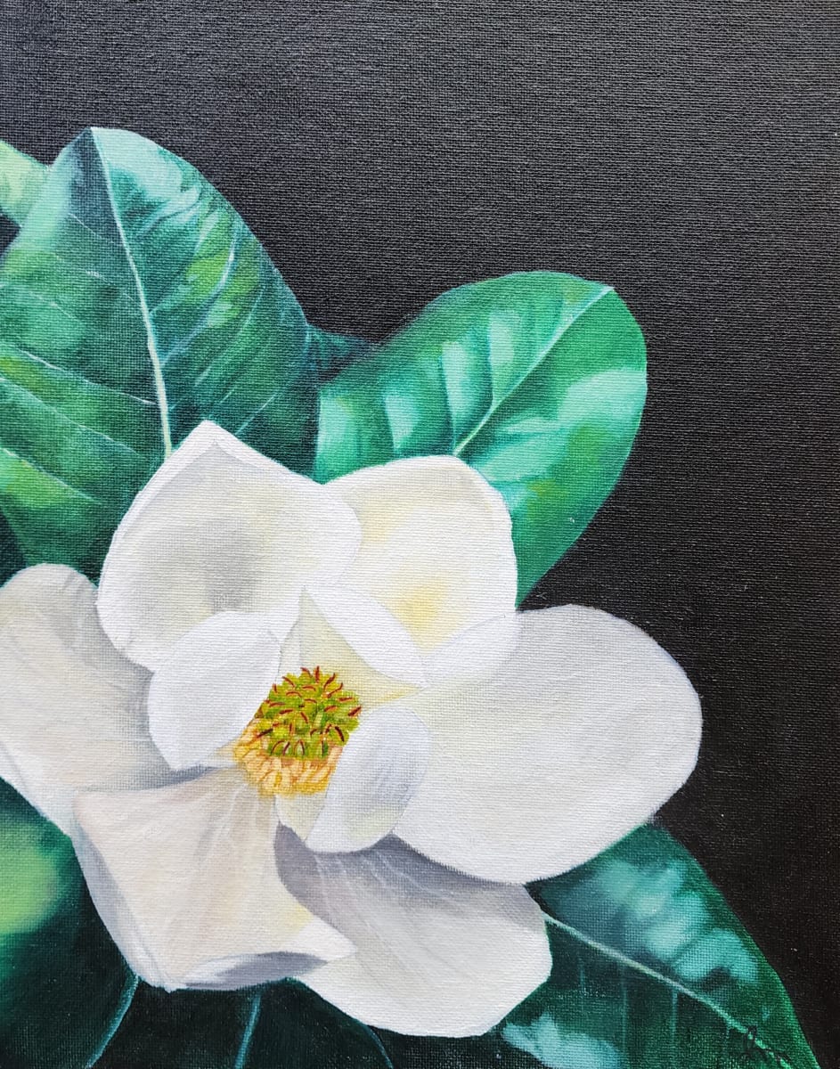 Magnolia