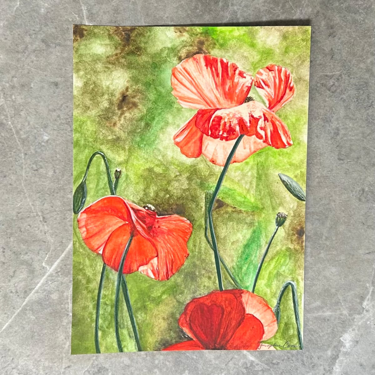 Poppies