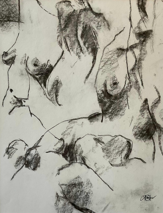 Sketch