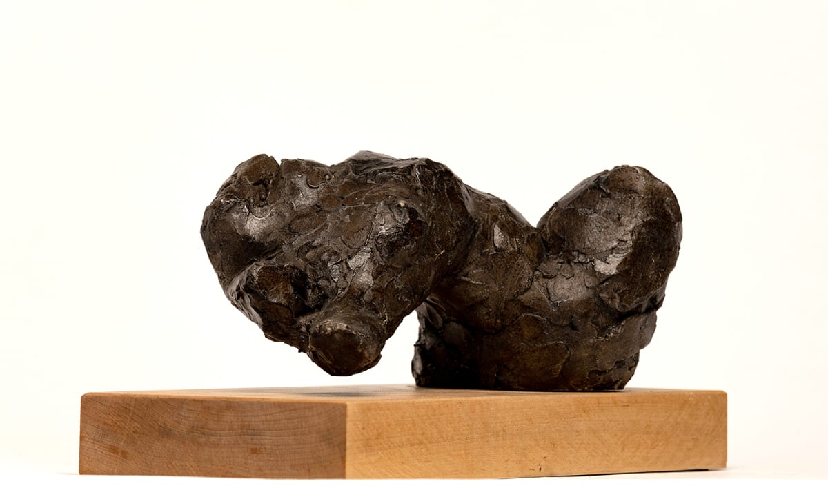 Sheree Fragment