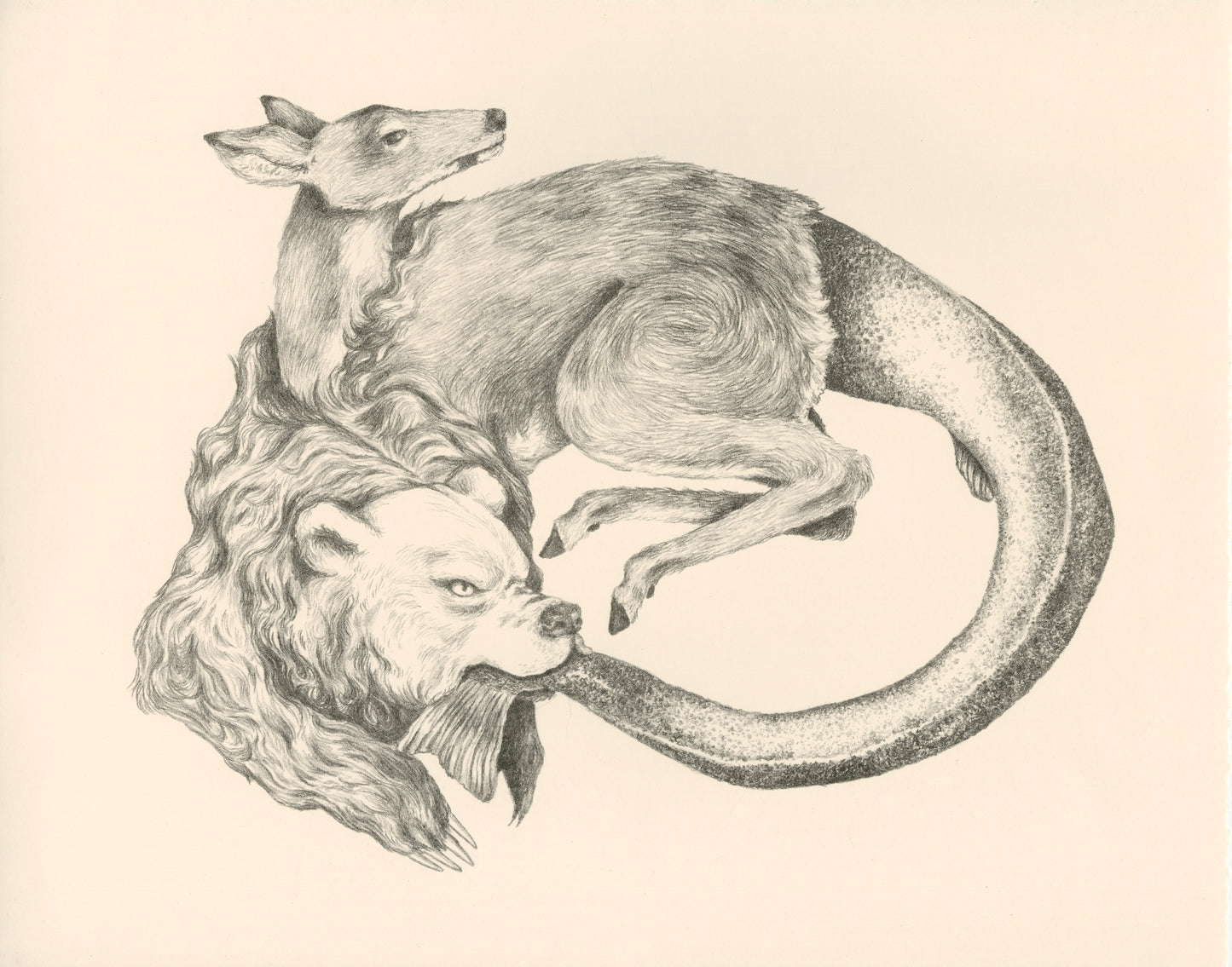 Tail Devourer: I Eat and I am Eaten