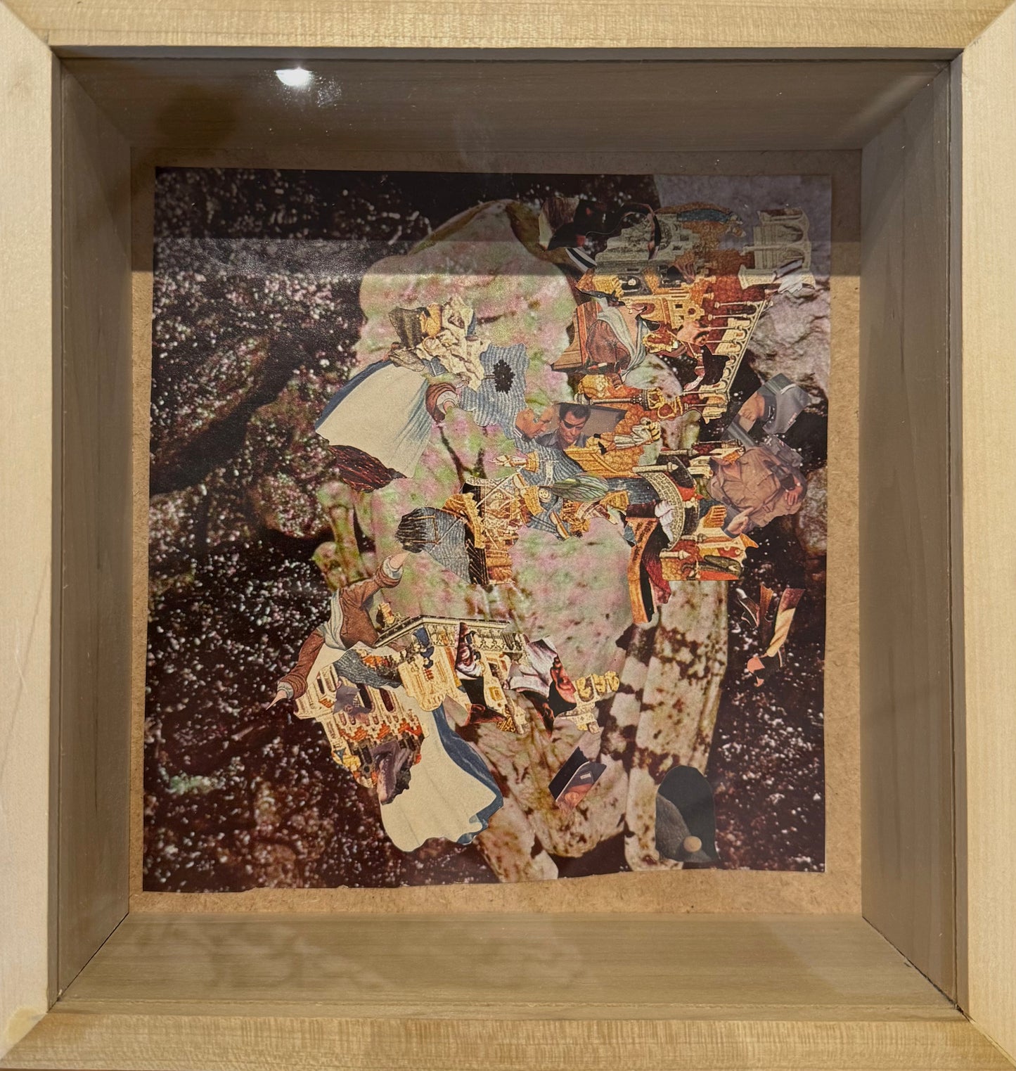 Watched Domesticated Animals