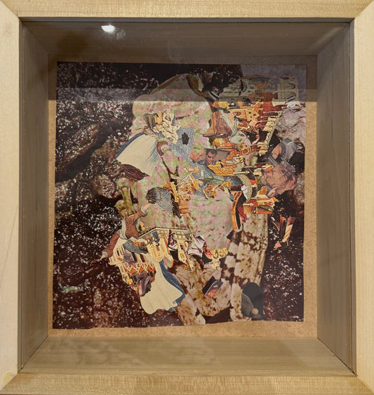 Watched Domesticated Animals