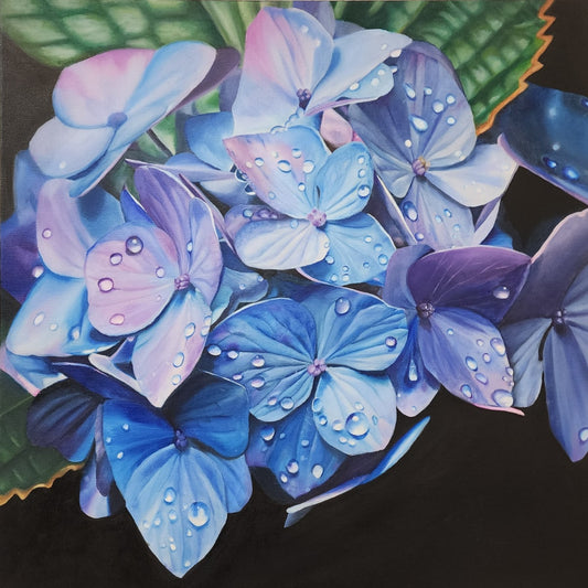 Hydrangeas