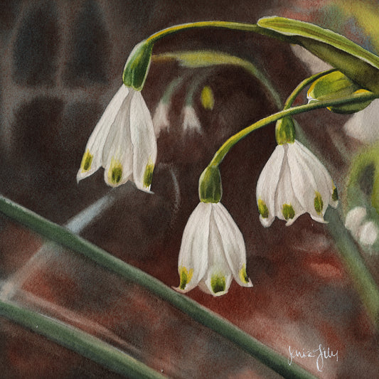 Snowflake Flowers Study