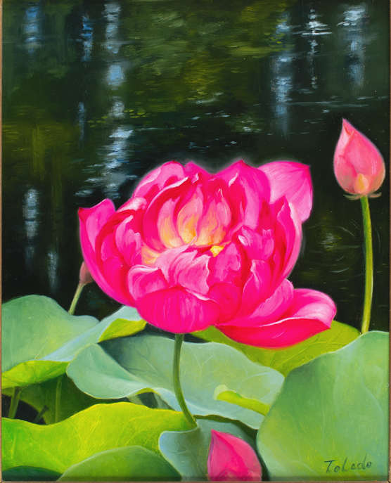Pink Lotus