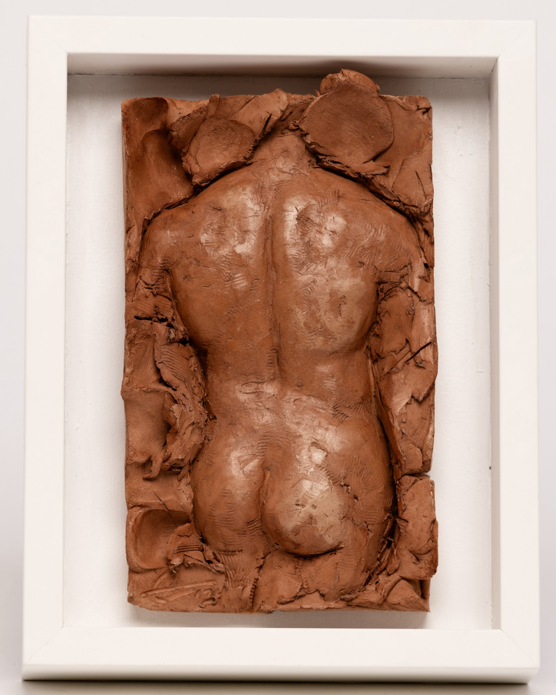 Matt Relief Study – Gallery Chimera
