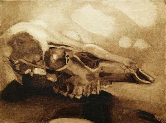 Odocoileus Virginianus (Study of the Cranium)