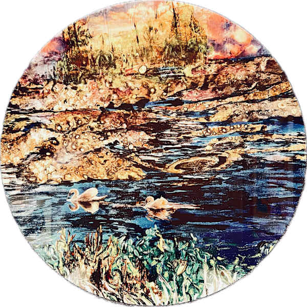 Swans (Orquevaux France)