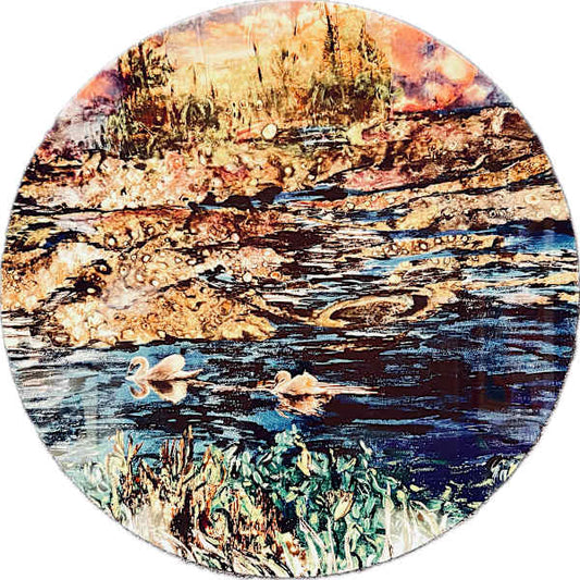 Swans (Orquevaux France)