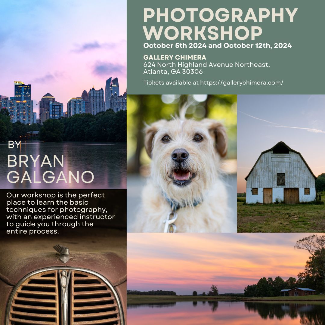 Workshop: Introduction to Photography